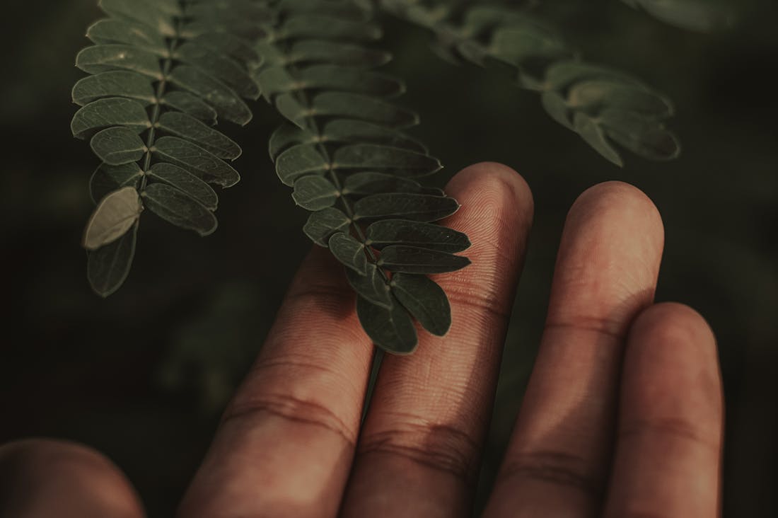 Revamping Home Spaces: Tips for Stylish and Functional Living Image 1