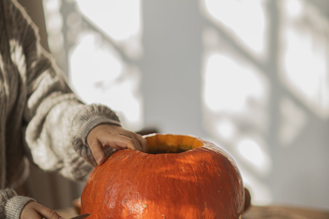 Revamping Home Spaces: Tips for Stylish and Functional Living Image 3