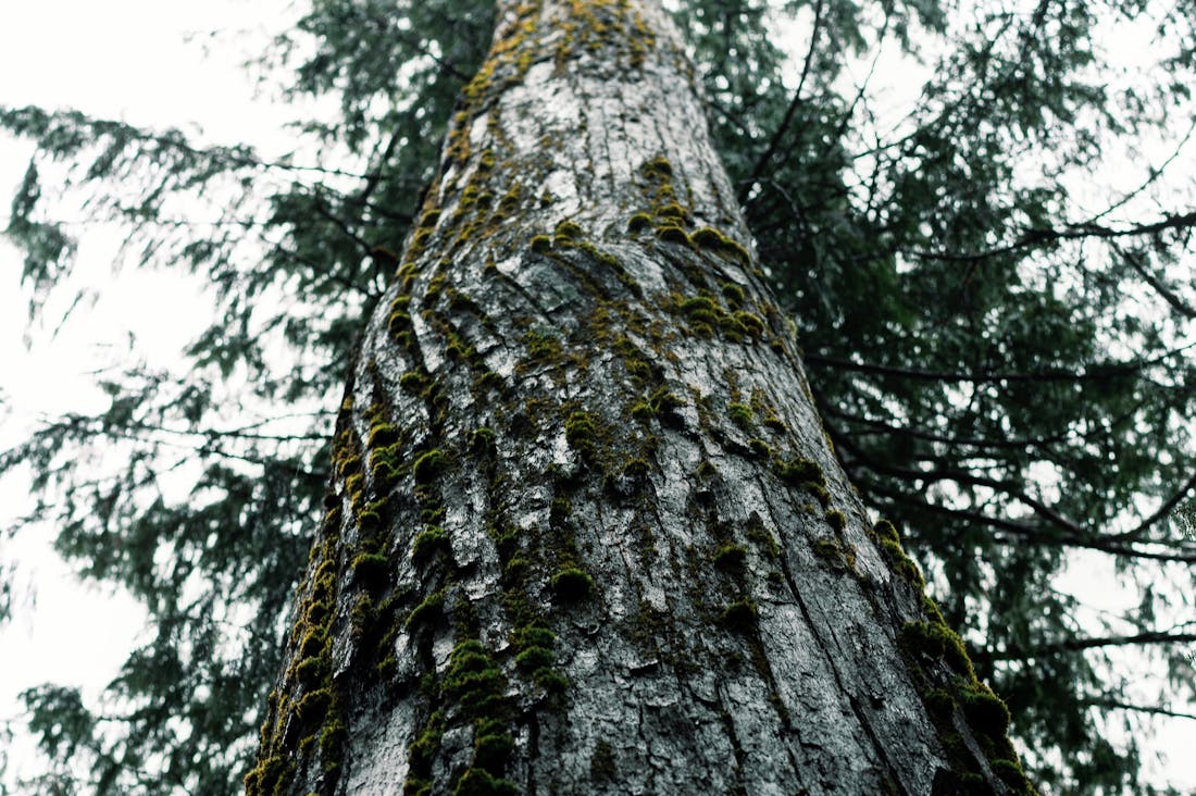 Revamping Home Spaces with Simple Design Hacks for Modern Living Image 2