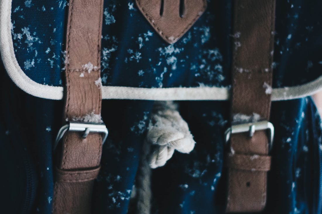 Revamping Travel Plans for Maximum Enjoyment and Savings Image 1