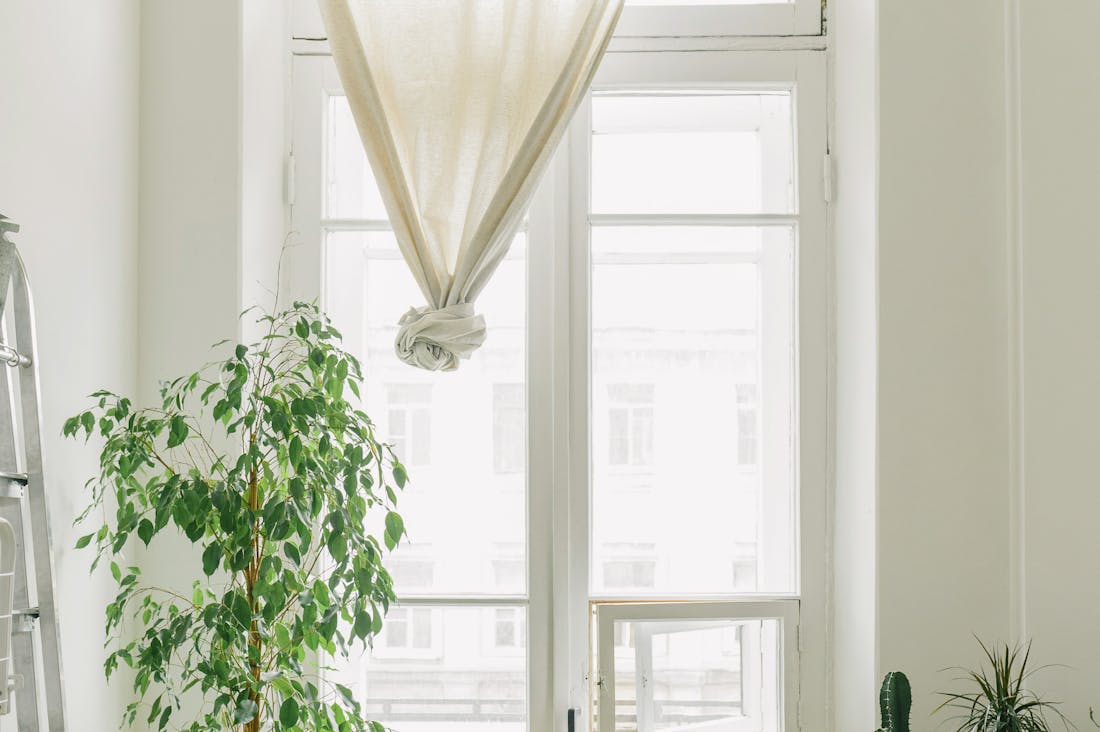 Revamping Your Home for Health and Wellness Benefits Image 2