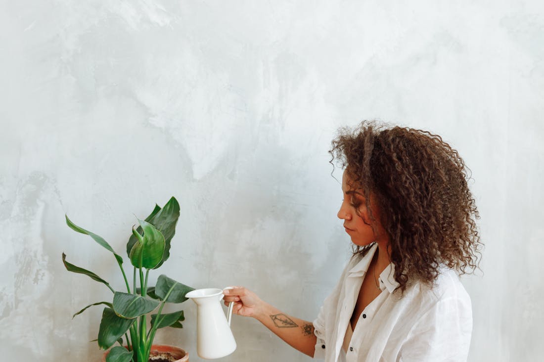 Revamping Your Space: Minimalist Decor for a Balanced Life Image 2