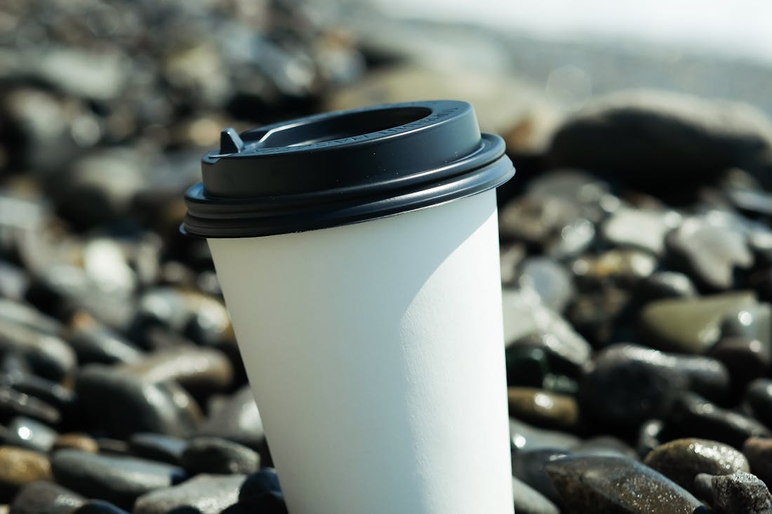 Revamping Your Travel Experience with Sustainable Practices Image 3