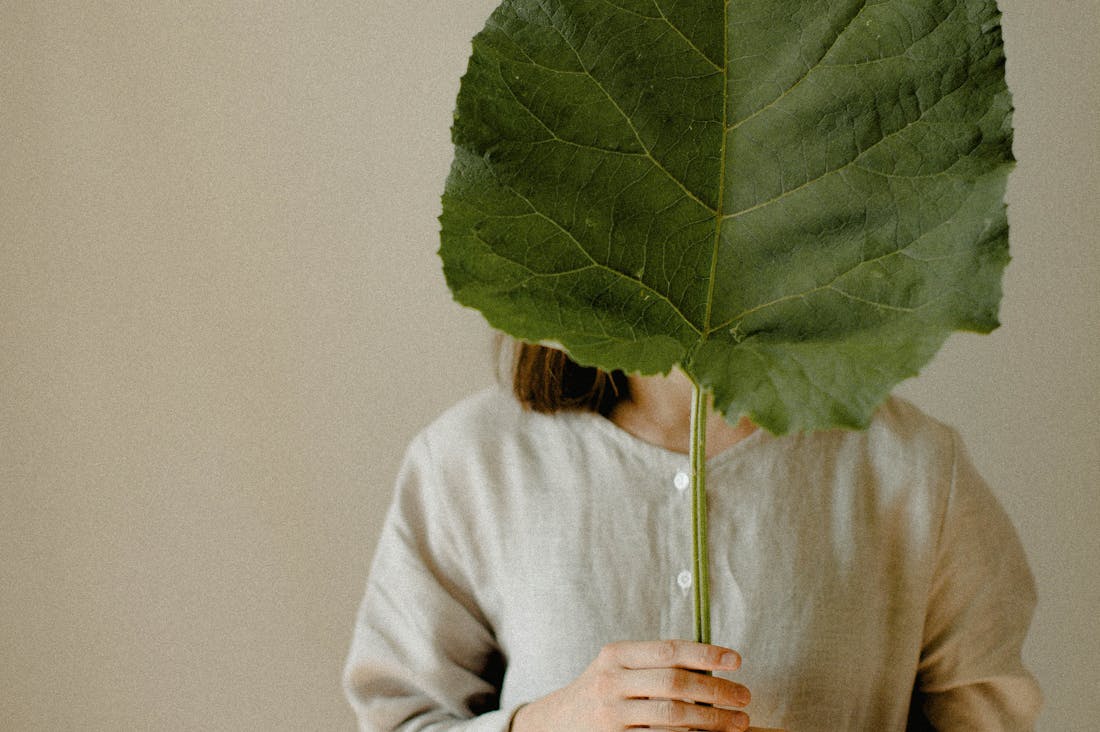 Revitalizing Daily Routines for Improved Mental Health Image 1