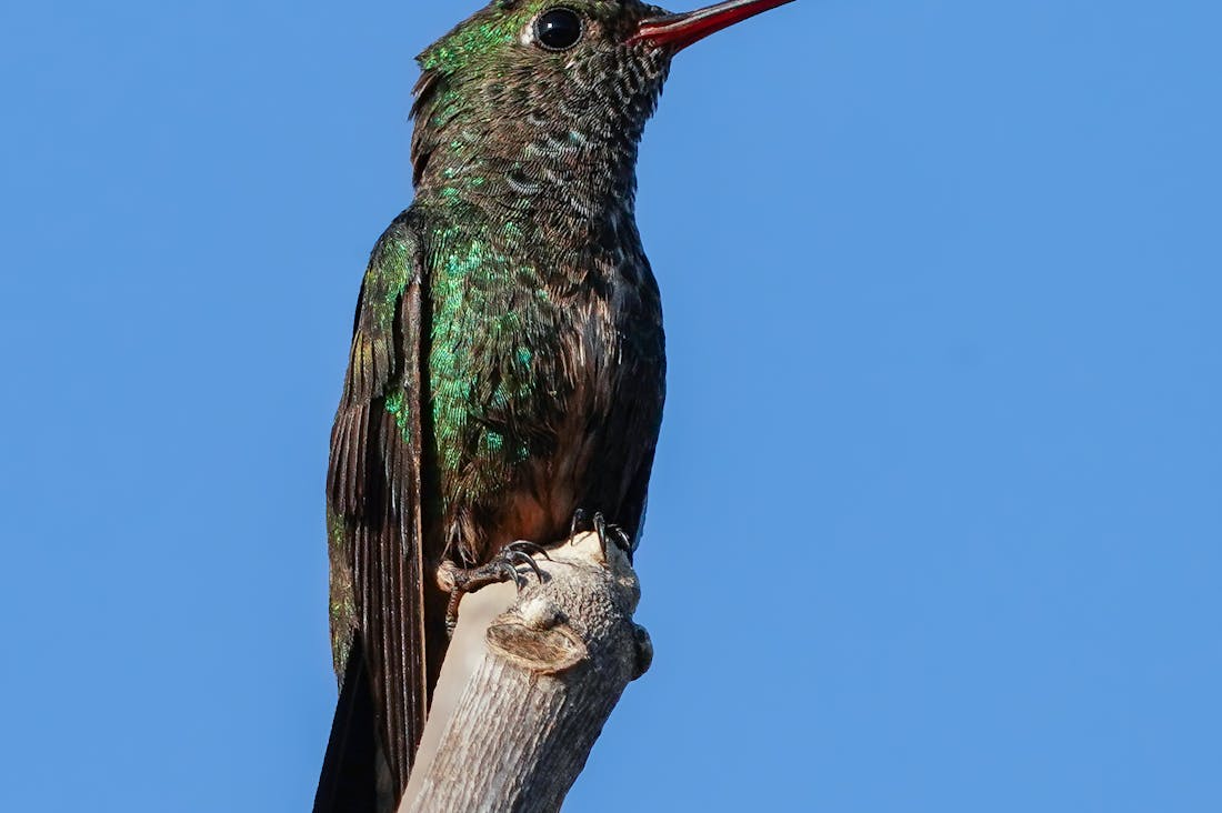 Revitalizing Indoor Spaces with Effective Organization Hacks Image 3