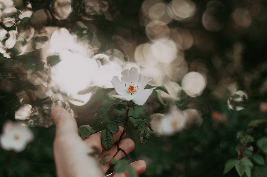 Revitalizing Outdoor Spaces: Creating Inviting Areas for Relaxation and Enjoyment Image 2