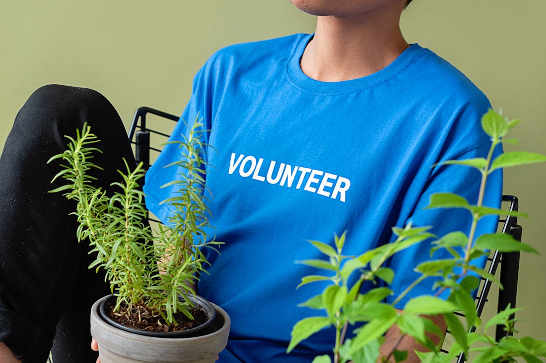 Revitalizing Your Health: A Comprehensive Guide to Holistic Wellness Practices for Daily Life Image 2