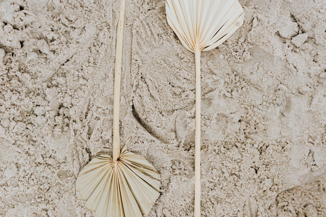 Revolutionizing Home Living with Sustainability-Inspired Design Practices Image 1