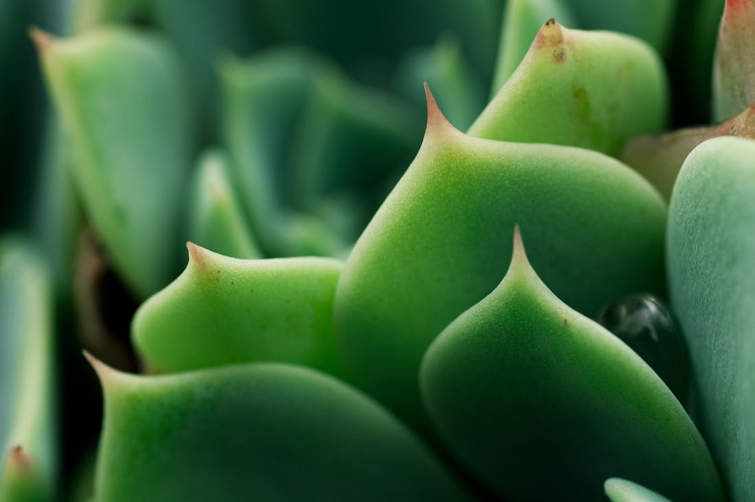 Revolutionizing Your Routine: The Impact of Technology on Everyday Life Management Image 3