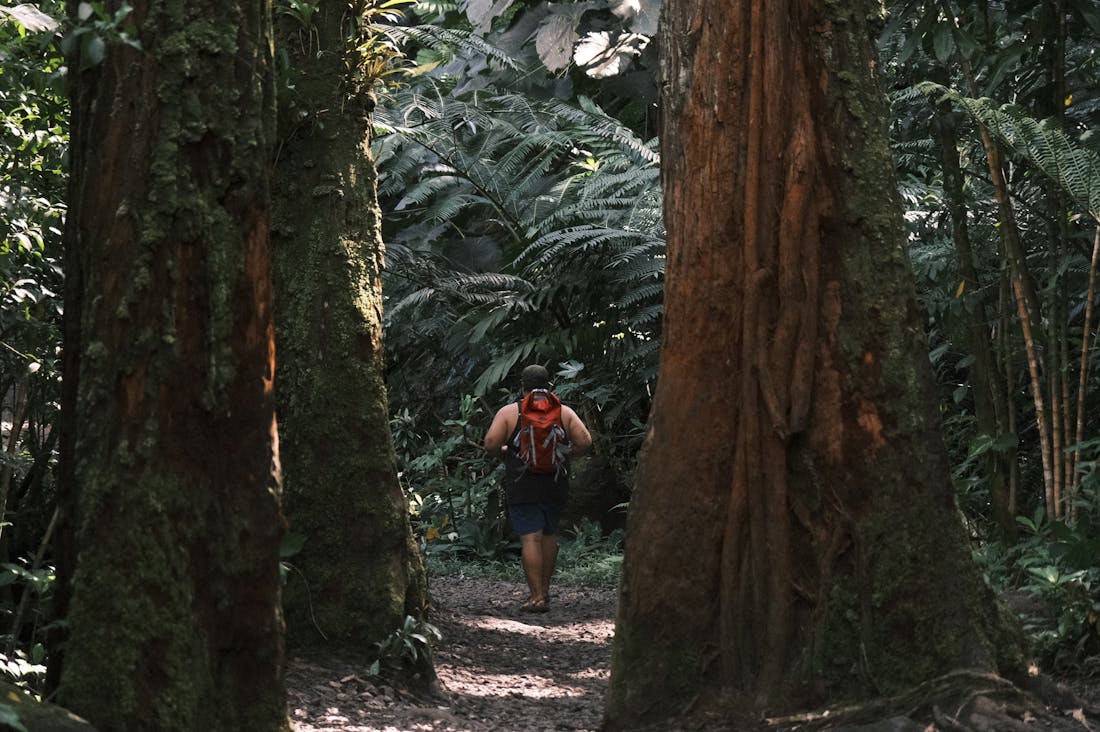 Revving Up for Adventure: Exploring Sustainable Travel Options for the Eco-Conscious Explorer Image 3