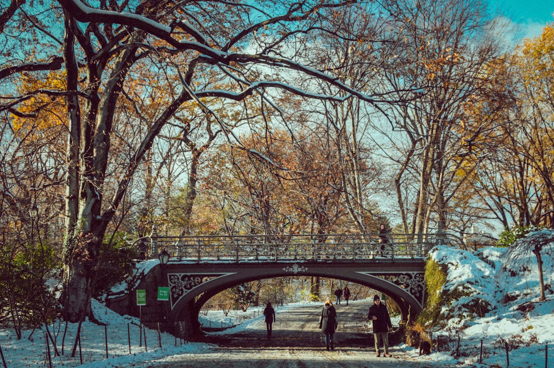 Revving Up Your Adventures: How Technology is Transforming the Travel Experience Image 1