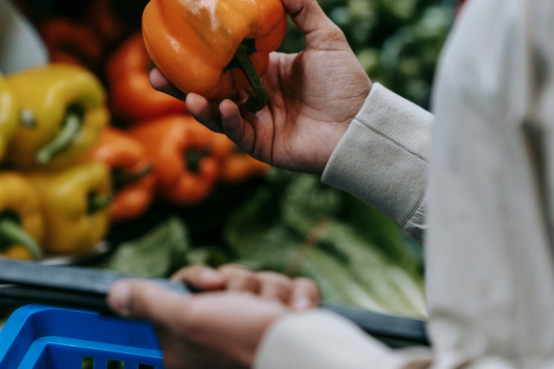 Revving Up Your Life: How to Choose the Right Vehicle for Your Unique Lifestyle Image 3