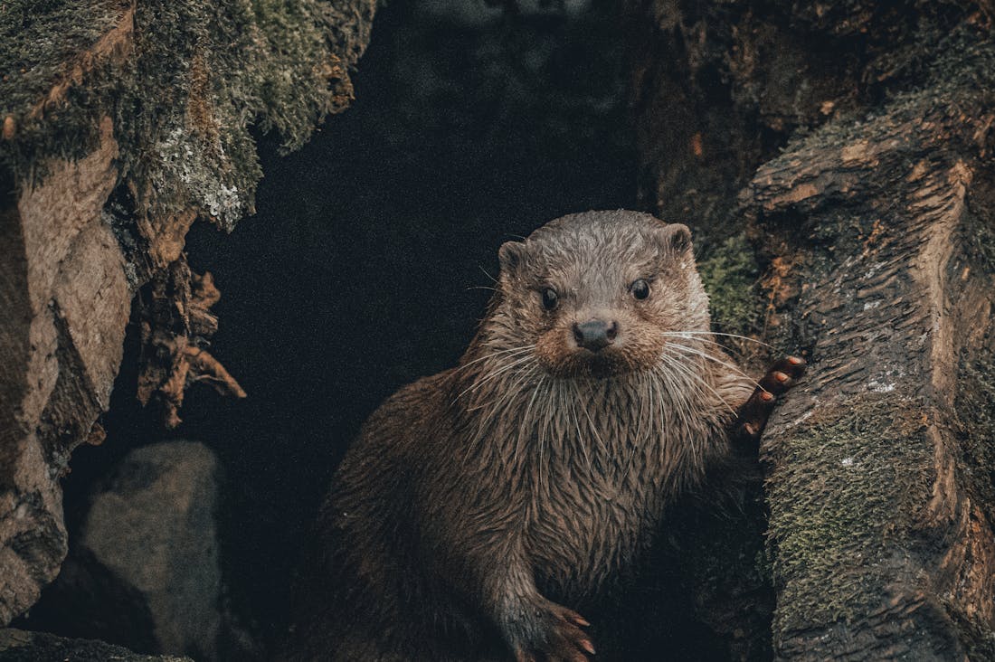 Revving Up Your Travel Adventures: The Ultimate Guide to Road Trips and Beyond Image 3