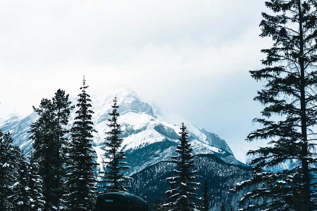 Revving Up Your Travel Experiences: How to Choose the Perfect Car for Adventure Image 2