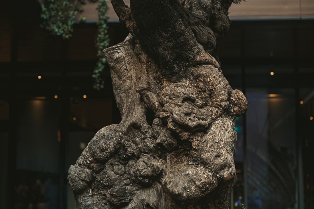 Road Maintenance Tips for a Smooth Ride Image 2