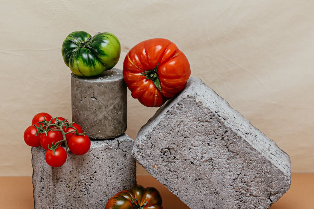 Secrets to Maintaining Your Mental Health in a Fast-Paced World Image 2