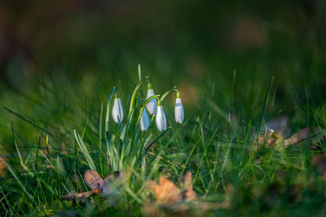 Secrets to Sustainable Living That Enhance Everyday Wellness Image 1