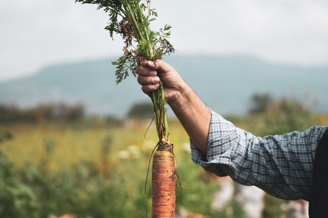 Secrets to Sustainable Living That Enhance Everyday Wellness Image 2