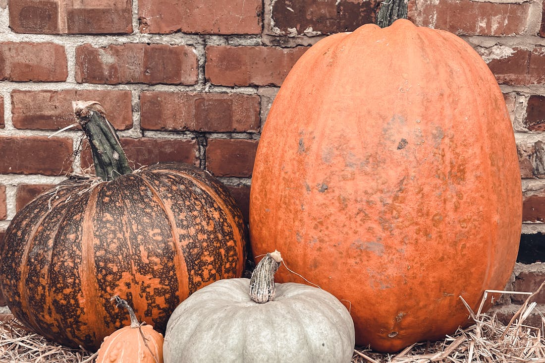 Simple Strategies for Enhancing Mental Well-Being in Everyday Life Image 1