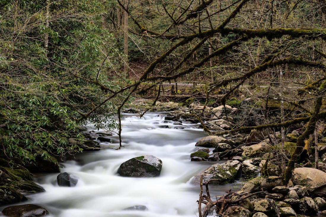 Smart Choices for Sustainable Living in Today's World Image 1