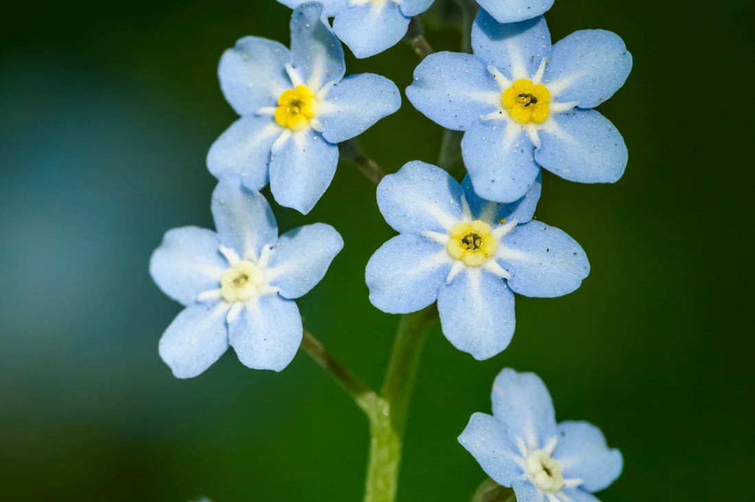 Smart Investing Principles for Growing Wealth in Uncertain Times Image 2