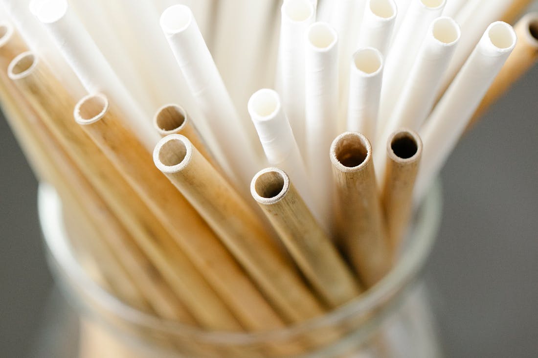 Smart Living: Integrating Eco-Friendly Practices into Everyday Lifestyle Image 3