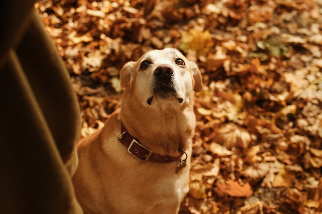 Smart Tips for Enhancing Your Car's Lifespan Efficiently Image 2