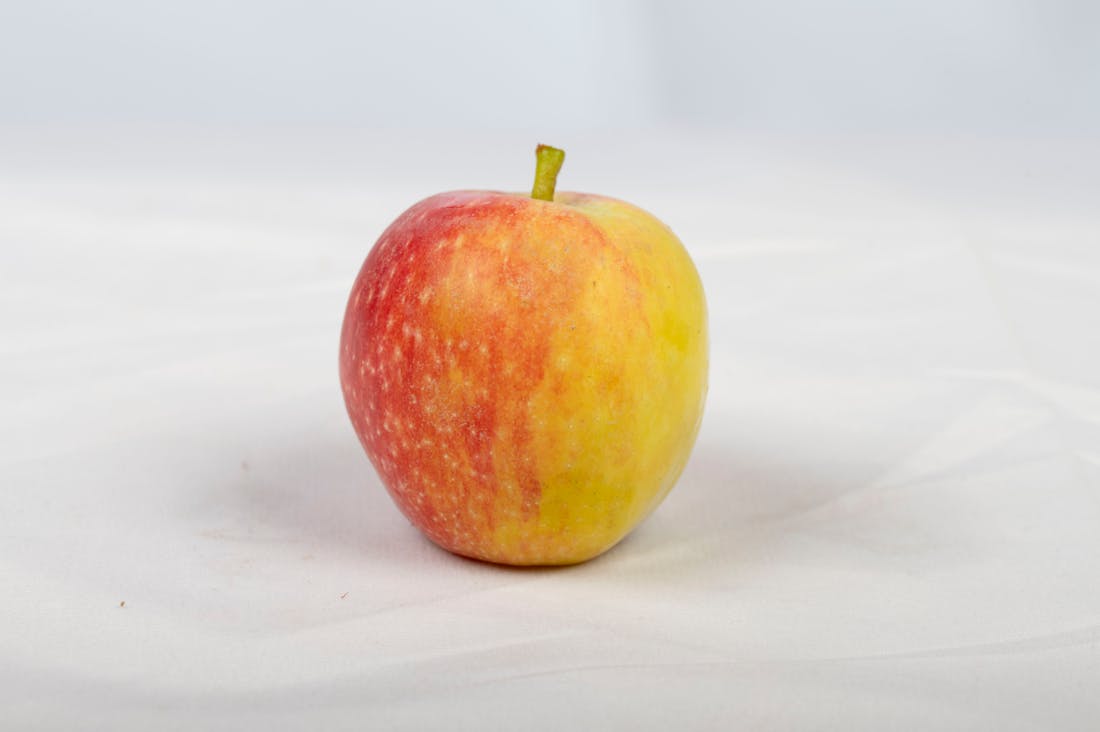 Strategies for Boosting Immunity Naturally to Enhance Overall Well-Being Image 1