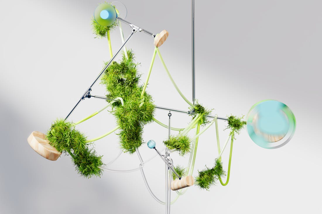 Strategies for Building a Sustainable Home Lifestyle Image 1