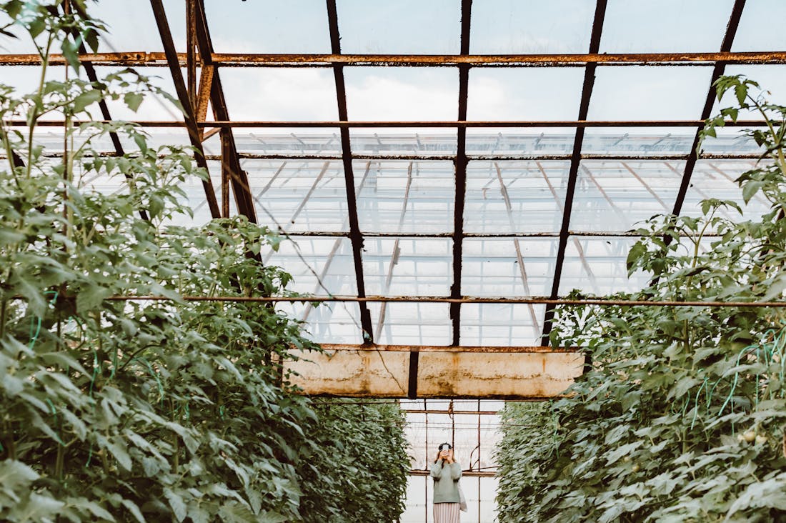 Strategies for Building a Sustainable Home Lifestyle Image 3