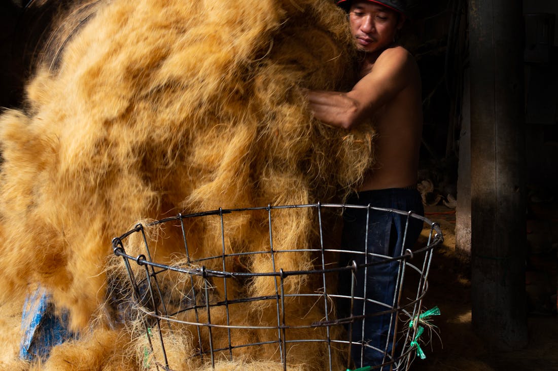 Strategies for Sustainable Living and Eco-Friendly Choices Image 1