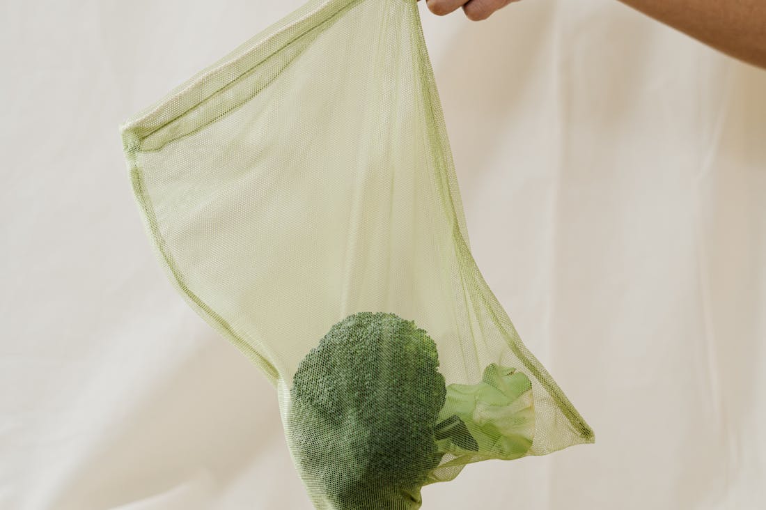 Strategies for Sustainable Living Without Compromise Image 2