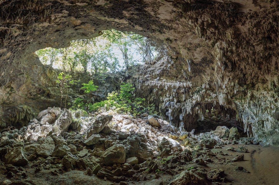 Strategies for Sustainable Travel Without Compromising Adventure Image 2