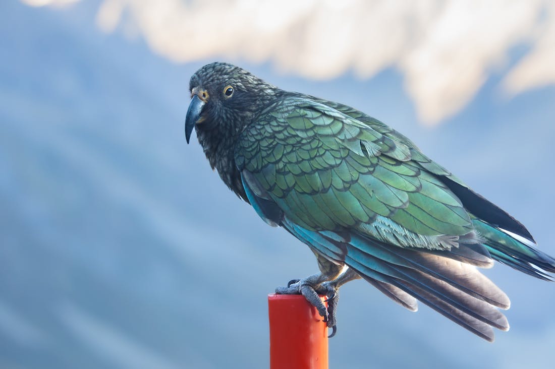 Strategies for Sustainable Travel Without Sacrificing Adventure Image 2