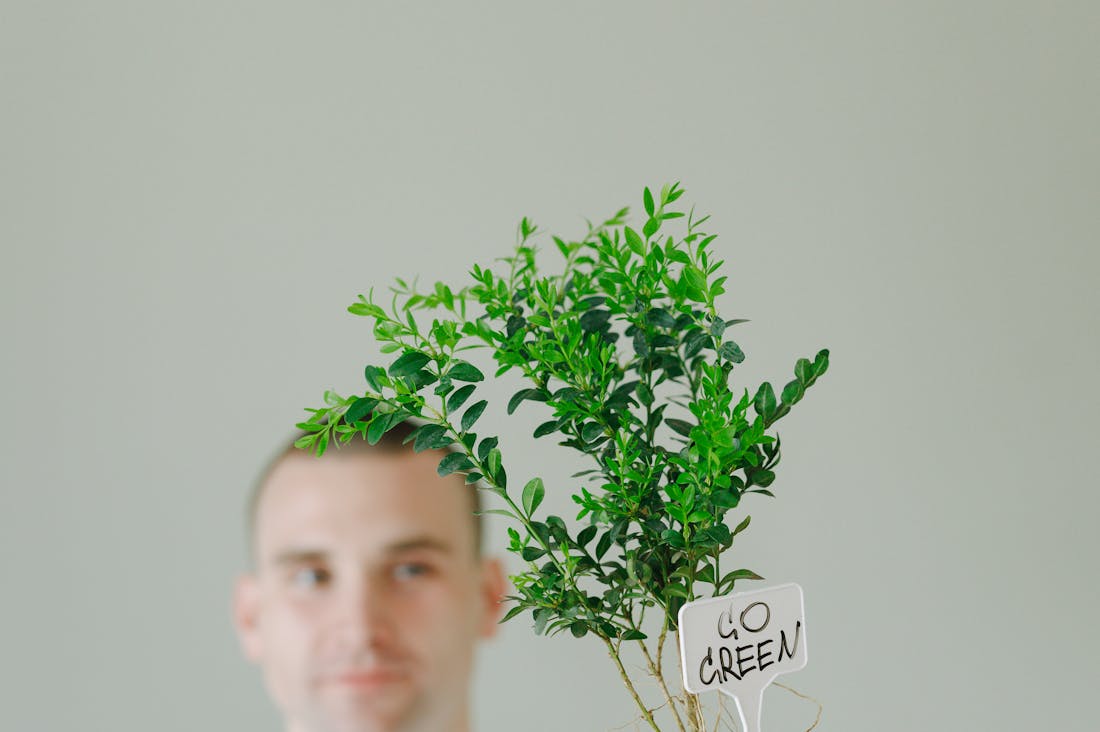 Sustainable Choices for a Healthier Lifestyle and Environment Image 3