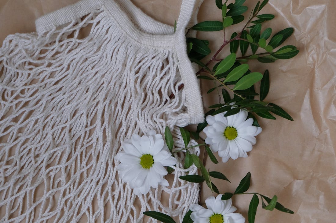 Sustainable Lifestyle Changes for the Eco-Conscious Individual Image 1