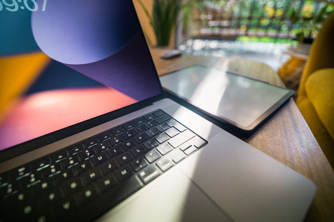 Sustainable Living Choices for Today's Eco-Conscious Consumer Image 3