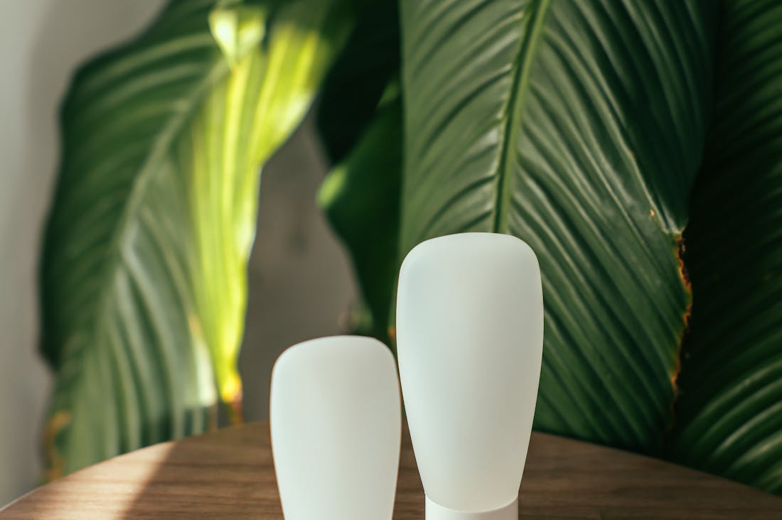 Sustainable Living: Effective Practices for a Greener Home