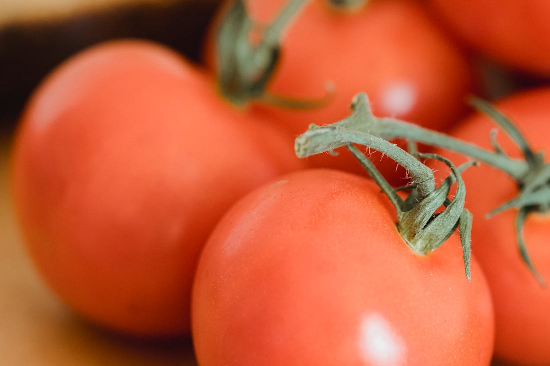 Sustainable Living Habits to Adopt for a Greener Future Image 2