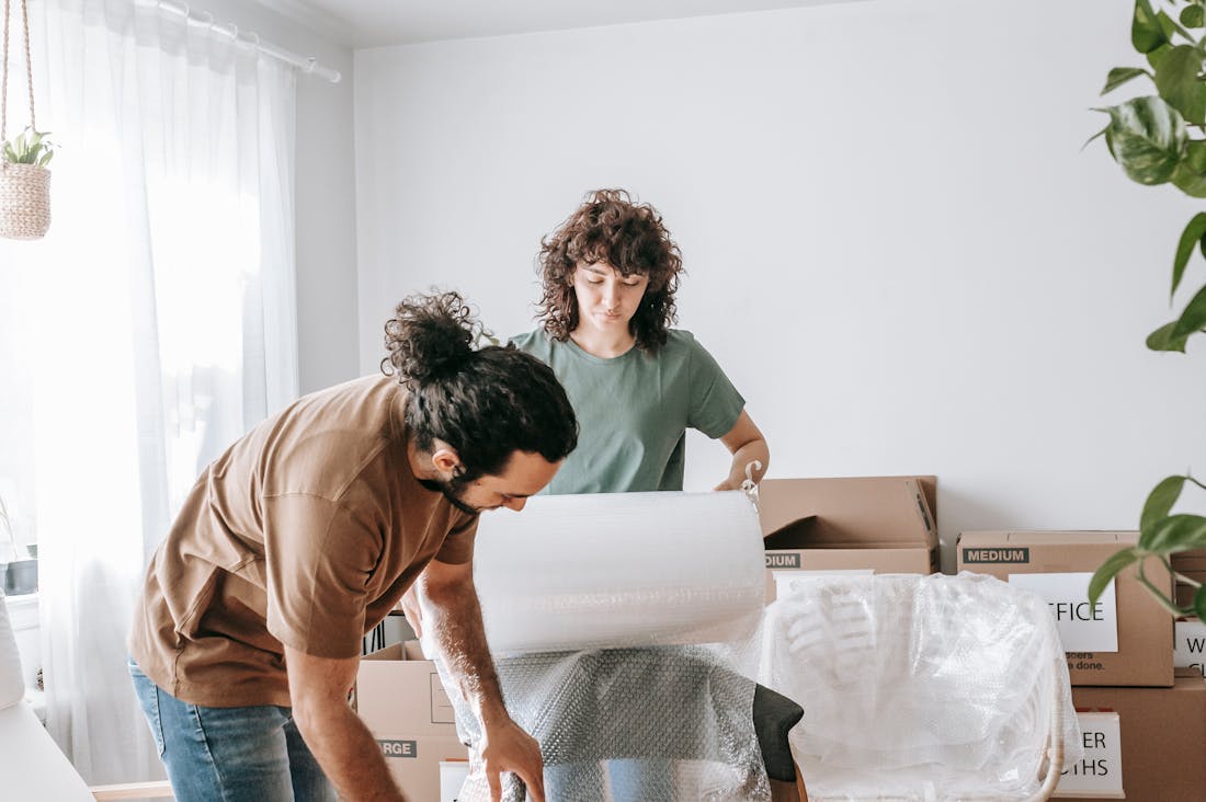 Sustainable Living: How to Create an Eco-Friendly Home on a Budget Image 2