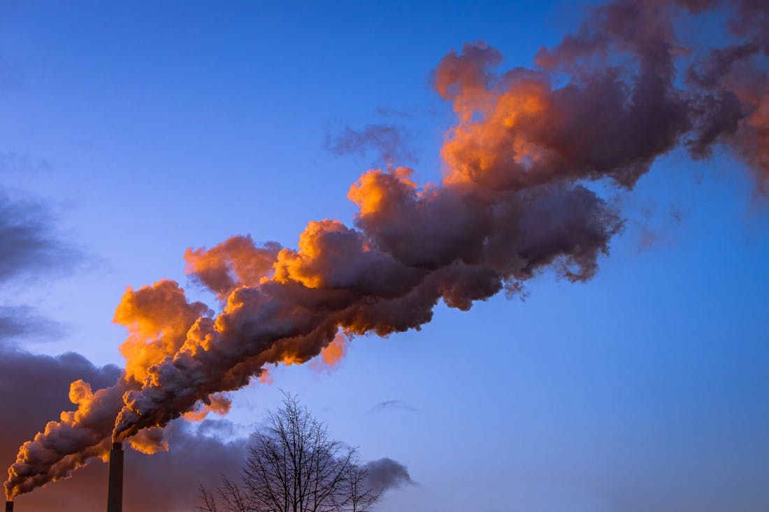 Sustainable Living: How to Incorporate Eco-Friendly Practices into Your Lifestyle Image 1