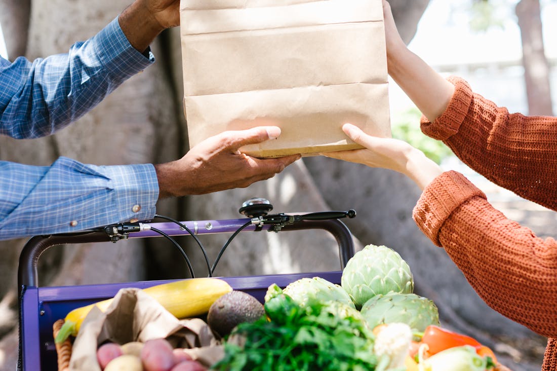 Sustainable Living Made Easy: Practical Steps for a Greener Lifestyle Image 2