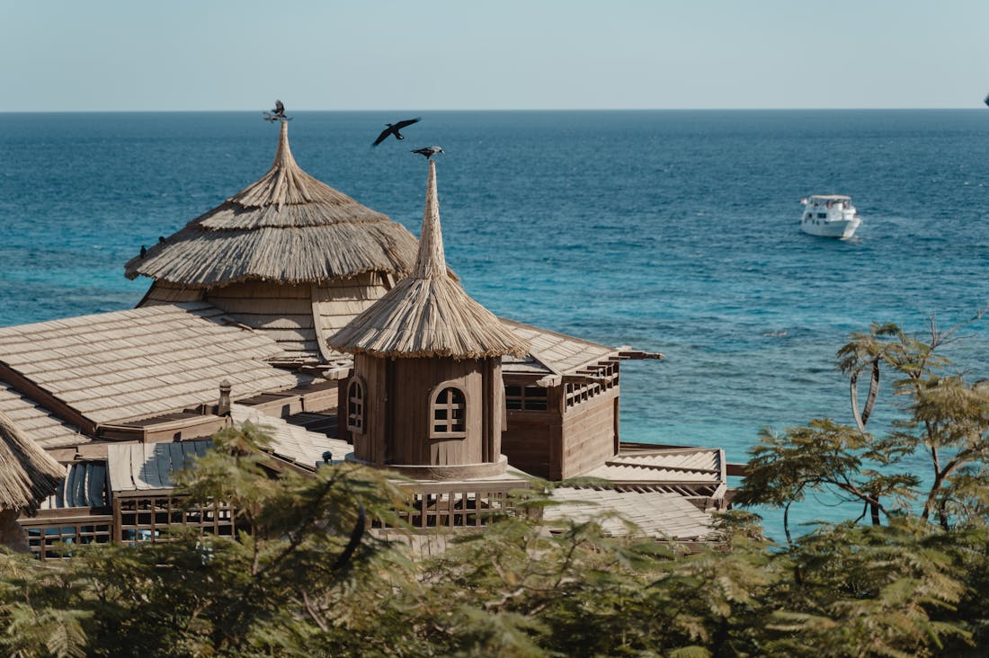 Sustainable Living: Practical Steps to an Eco-Friendly Lifestyle Image 2