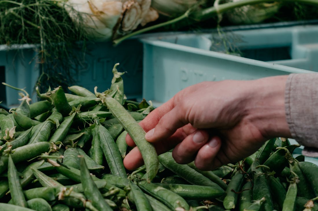 Sustainable Living: Practical Steps to an Eco-Friendly Lifestyle Image 3