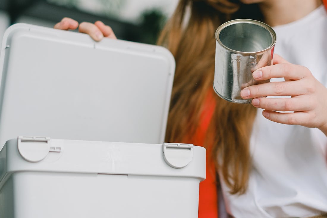 Sustainable Living: Practical Steps to Reduce Your Environmental Impact and Live Greener Image 2