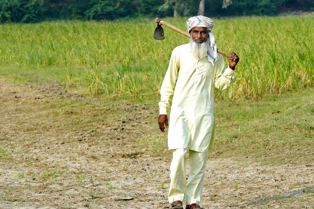 Sustainable Living: Practical Steps to Reduce Your Environmental Impact and Live Greener Image 3