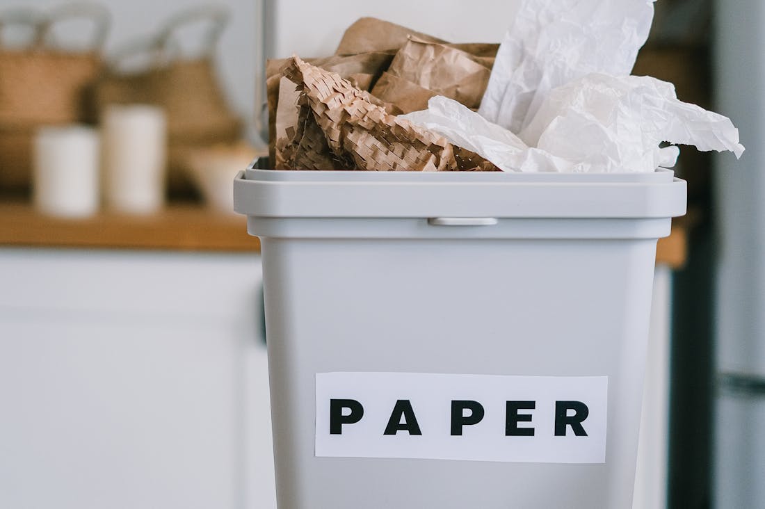 Sustainable Living: Practical Strategies for an Eco-Friendly Lifestyle Image 1