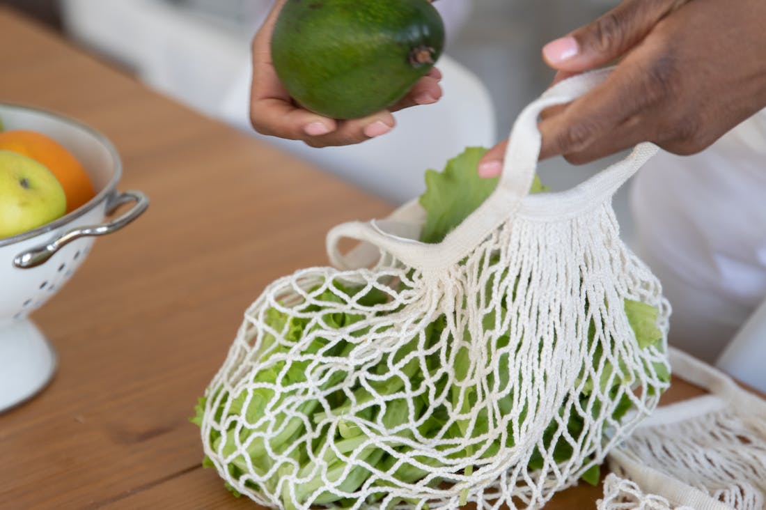 Sustainable Living: Practical Tips to Create an Eco-Friendly Lifestyle Image 2