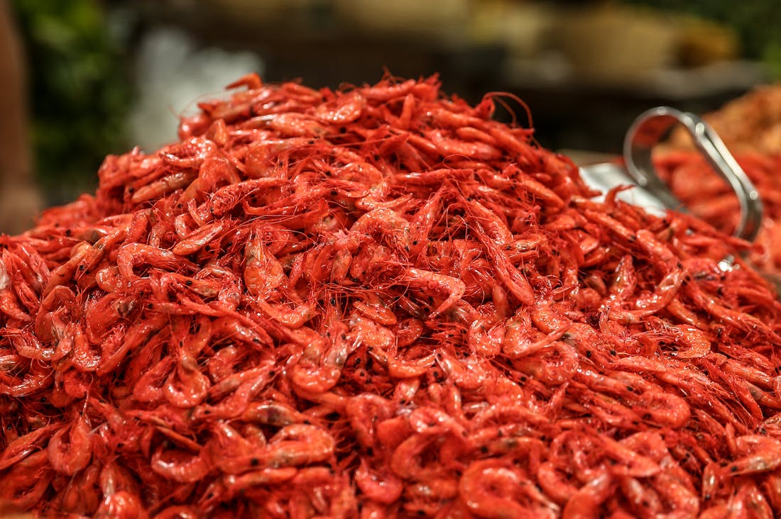 Sustainable Living Practices Everyone Can Adopt Today Image 2