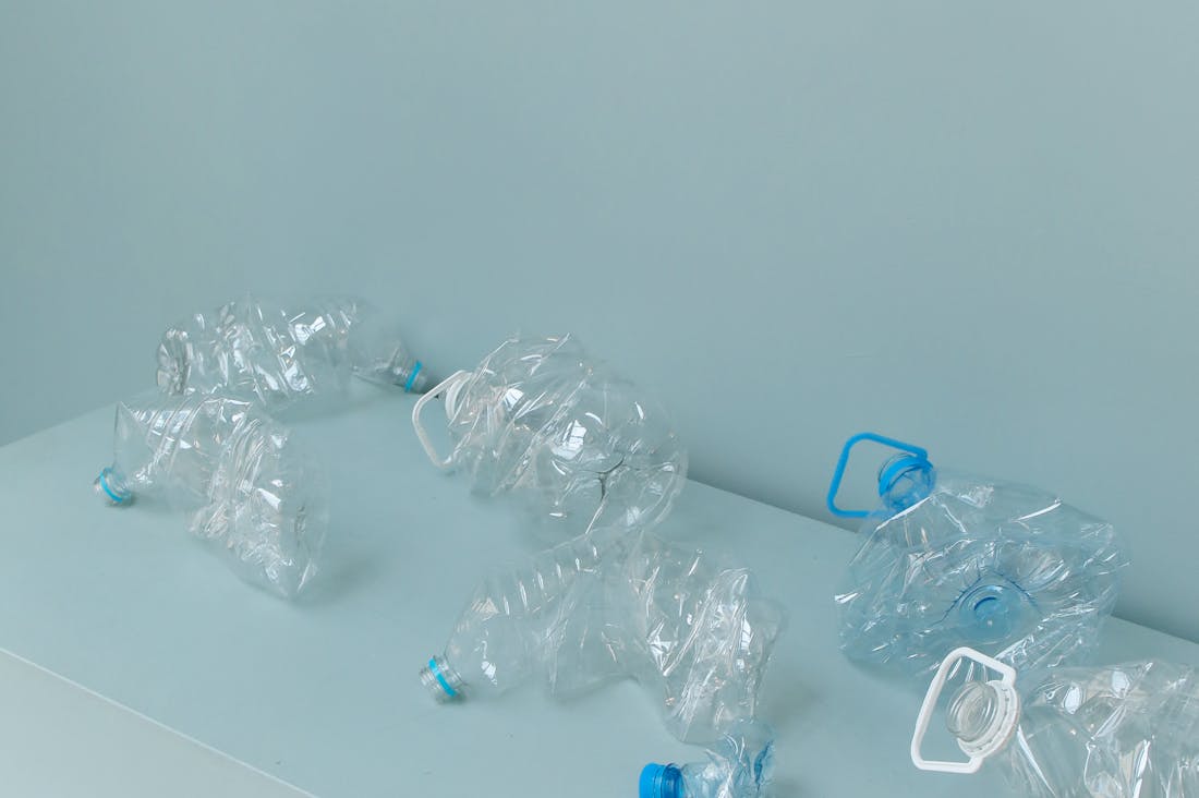 Sustainable Living Practices for Every Lifestyle Image 1